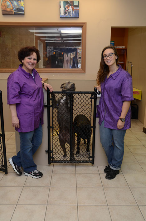 %_tempFileNameMarchellaSteph2bigdogs%