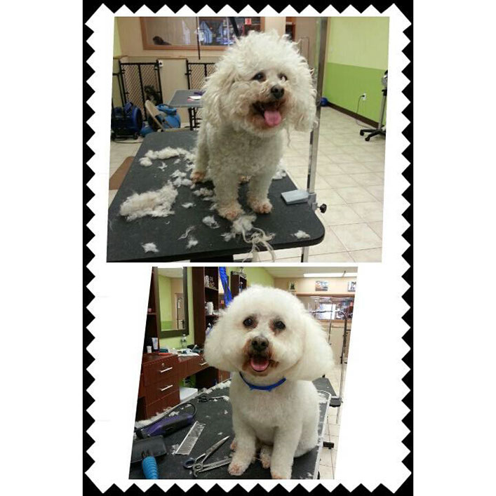 %_tempFileNamebeforeafter%