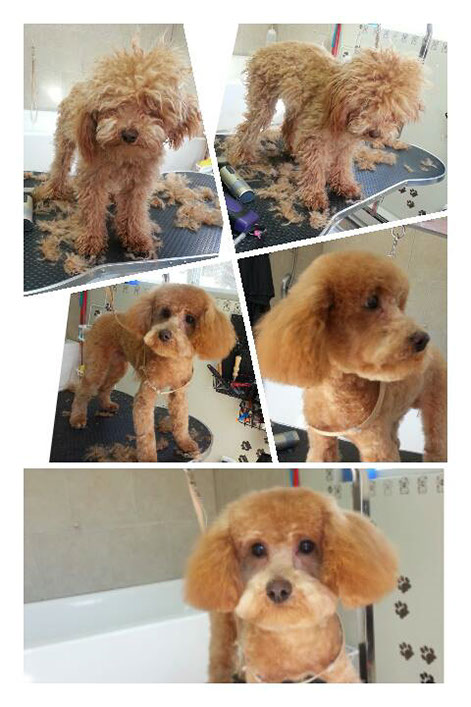 %_tempFileNamebeforeafter2%