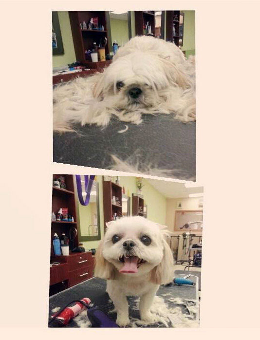 %_tempFileNamebeforeafter3%